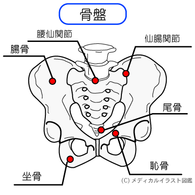 骨盤矯正
